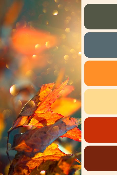 Embrace the warmth of autumn with this stunning color palette! 🍂 From a rich red to cozy orange, this autumn color combination is perfect for home decor, fashion, or any project that needs a touch of fall aesthetic. Let this fall color combo inspire your creativity!

Franzi Speer | Graphic Design | Pattern Design | Mockups Yellow Orange Gold Color Palette, Orange Colour Palette Inspiration, Happy Color Scheme, Unique Fall Color Palette, Fall Blue Color Palette, Blood Orange Color Palette, Red And Orange Color Palette, Colour Palette Orange, November Color Palette