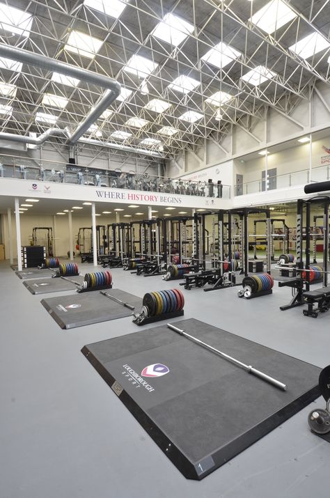 Alpha Land Gym, Functional Training Gym, Sports Training Facility, Commercial Gym Design, Warehouse Gym, Gym Plans, Home Gym Basement, Boutique Gym, Dream Gym