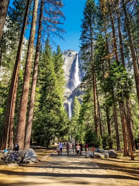 National Park Yosemite, America National Parks, Yosemeti National Park, Yellowstone National Park Aesthetic, Yosemite National Park Aesthetic, Yosemite Aesthetic, Yosemite Photoshoot, Yosemite National Park Camping, Yosemite Summer