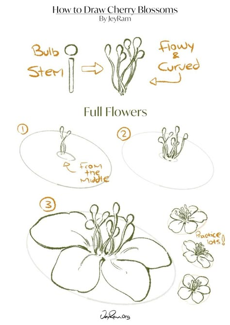 In this tutorial image I show how to draw the stamen, or the middle section of the Cherry Blossom. Then I show how to combine the steps to draw a complete flower Cute Cherry Blossom Drawing, Flower Drawing Guide, Japanese Flower Art, Cherry Blossom Simple Drawing, Cherry Blossom Step By Step, Cherry Blossom Flower Drawing Simple, Flower Tutorial Drawing, Cherry Blossom Tutorial Drawing, Sakura Tree Drawing Tutorial