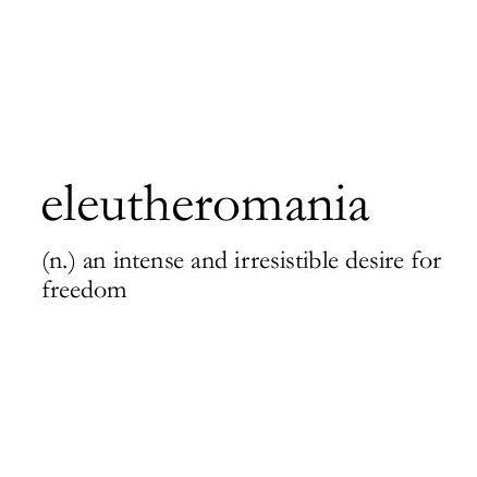 Definition Of Words Aesthetic, Eleutheromania Tattoo, Heliophilia Tattoo, Words For Freedom, Unique Words With Deep Meaning, Freedom Word, Freedom Aesthetic, Phobia Words, Silly Words