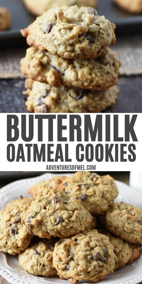 Mix up a batch of buttermilk oatmeal cookies with chocolate chips. Quick and easy cookie recipe that makes perfectly soft and chewy cookies. Simple ingredients and easy dessert you can make in a jiffy. Soft Oatmeal Chocolate Chip Cookies, Easy Oatmeal Chocolate Chip Cookies, Oatmeal Cookies With Chocolate Chips, Homemade Chocolate Chip Cookies Recipe, Buttermilk Cookies, Cookies With Chocolate Chips, Oatmeal Chocolate Chip Cookie Recipe, Easy Cookie Recipe, Oatmeal Cookies Easy