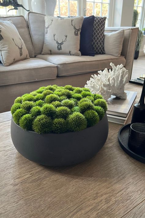 Tactile, vibrant and a gorgeous splash of green, this Dianthus bowl never disappoints. Arranged in an undulating but uniform way. Perfect for a coffee table or round table centre. Dimensions Bowl 35cm(w) x 13cm(h) Arrangement 35cm(w) x 17cm(h) Fake Flowers Arrangements, Round Coffee Table Decor, Coffee Table Flowers, Top Table Flowers, Coffee Table Plants, Table Piece, Waterfalls Backyard, Flower Gift Ideas, Stone Bowl