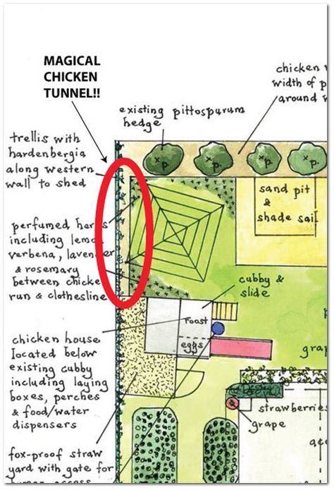 Chicken Tunnel, Chicken Tunnels, Edible Gardens, Veggie Patch, Permaculture Design, Guinea Fowl, Hen House, Chicken House, Research Institute