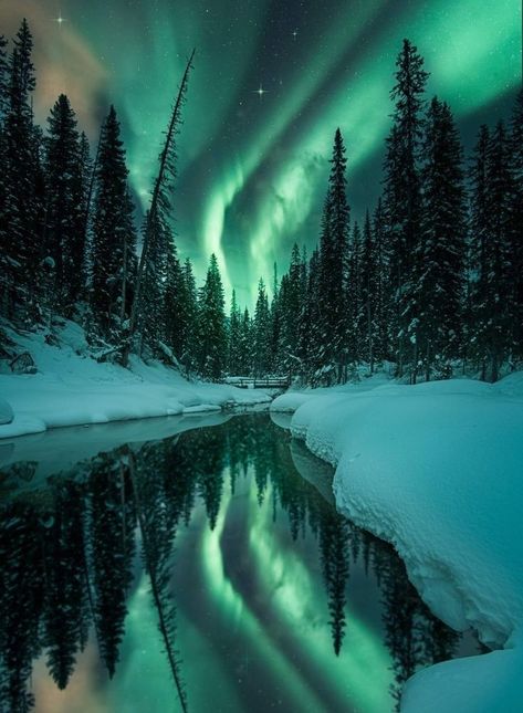 Real Northern Lights, Aurora Borealis Pictures, Nature Photography Night, Photography Night Sky, Sky Aurora, Winter Northern Lights, Alaska Northern Lights, Surreal Images, Northern Lights Photography