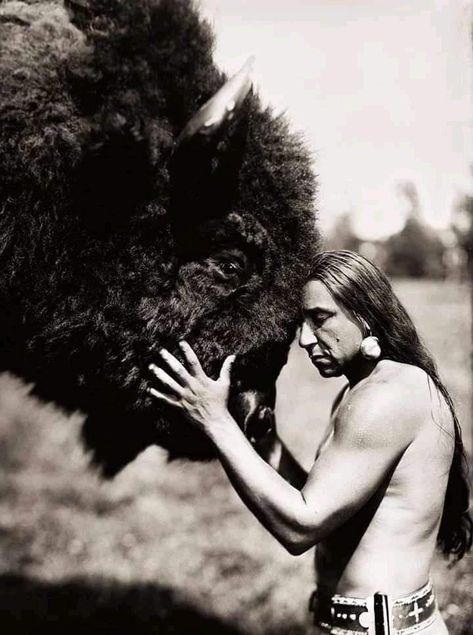 Native American Photography, Native American Spirituality, American Indian History, Native American Wisdom, Native American Images, Native American Men, American Photo, Native American Pictures, Native American Quotes