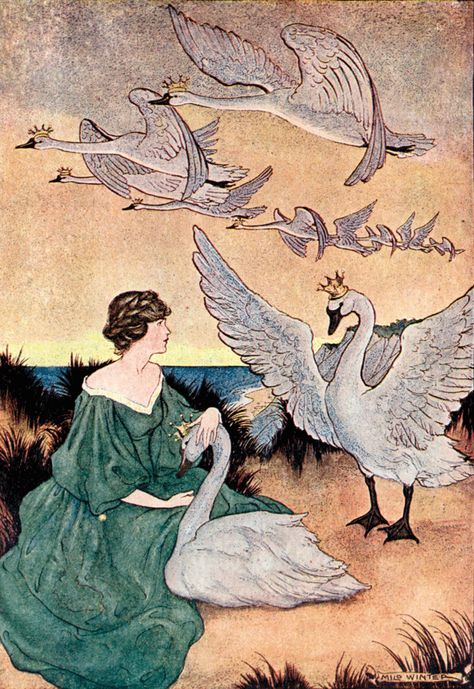 'The Wild Swans' an illustration from 'Hans Andersen Fairy Tales' – Illustrated by Milo Winter. Milo Winter, The Wild Swans, Wild Swans, Andersen's Fairy Tales, 동화 삽화, Arthur Rackham, Fairytale Illustration, Modern Wall Art Canvas, Images Esthétiques