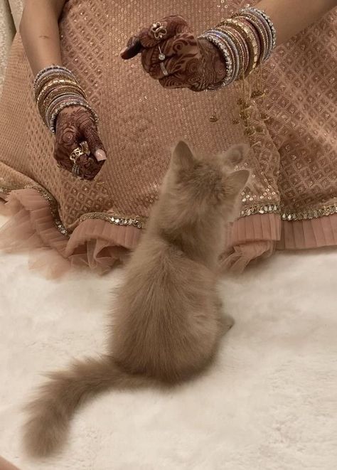 Cats Wedding, South Asian Aesthetic, Desi Love, Desi Fashion Casual, Desi Wedding, Indian Aesthetic, Brown Girl, Desi Fashion, South Asia