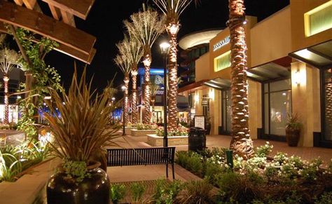 The Shoppes at Chino Hills Parking Lot Lighting, Street Trees, San Bernardino County, Chino Hills, Tree Canopy, Landscape Features, Best Places To Live, Growing Family, Incredible Places