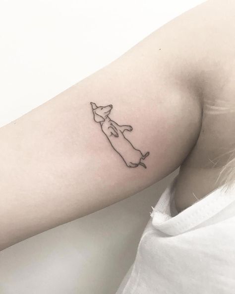 14 Minimalist Tattoo Ideas For Dachshund Lovers | PetPress Daschund Tattoo, Tatoo Dog, Hirsch Tattoo, Minimalist Tattoo Small, Dachshund Tattoo, Minimalist Tattoo Ideas, Inspiration Tattoos, Dainty Tattoos, Tattoo Life