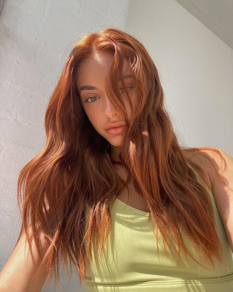 Copper Orange Hair, Social Media Cleanse, Dark Orange Hair, Chestnut Hair, Red Hair Inspo, Ginger Hair Color, Cookie Butter, Back To School Hairstyles, Copper Hair