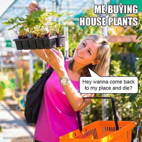 From Funny to Brutally Honest: The 35 Best Memes of the Week  We did a roundup of our favorite memes this week. From funny to inspiring, these memes will bring you pure joy.  #Humor #Memes #ParentingHumor Gardening Memes, Children Of The Corn, Gardening Humor, Meme Page, Most Popular Memes, Parenting Memes, Life Memes, Parenting Humor, Plant Lady