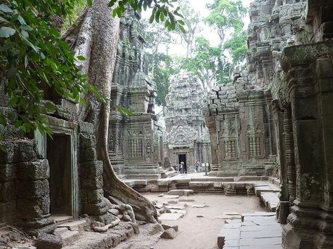 the temples of Angkor Ta Prohm, Abandoned Cities, Ancient Temple, Industrial Architecture, Old Churches, Ancient Temples, Sacred Places, Angkor Wat, Lost City