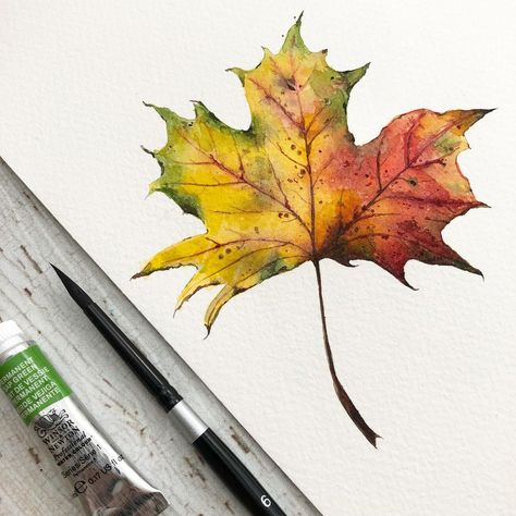 jess on Instagram: “Took a break from writing today to paint. @watercolor_tribe is hosting a fun painting challenge this month. Today’s prompt was maple leaf 🍁…” Fall Leaf Painting, Leaf Home Decor, Leaf Watercolor, Leaf Painting, Nature Walk, Fall Leaf, Autumn Leaf, Watercolor Leaves, Painted Leaves