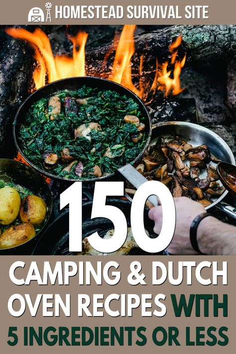 Dutch Oven Camping Recipes, Dutch Oven Camping, Dutch Oven Cooking, 5 Ingredient Recipes, Cast Iron Recipes, Dutch Oven Recipes, Campfire Food, Cast Iron Dutch Oven, Fire Cooking