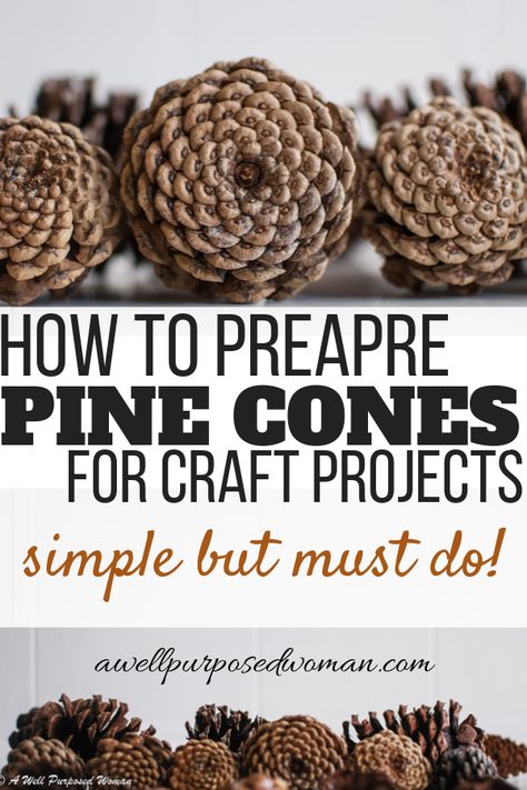 Pine Cone Christmas Decorations, Pinecone Crafts Kids, Cones Diy, Pinecone Crafts Christmas, Painted Pinecones, Pine Cone Art, Diy Pinecone, Ge Bort, Pine Cone Decorations