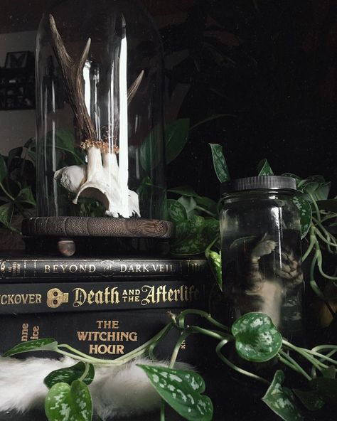 Gothic Cottagecore Aesthetic, Gothic House Decor, Forest Room Decor, Witch Bedrooms, Green Witch Aesthetic, Victorian Gothic Decor, Goth House, Victorian Room, Witch Home Decor