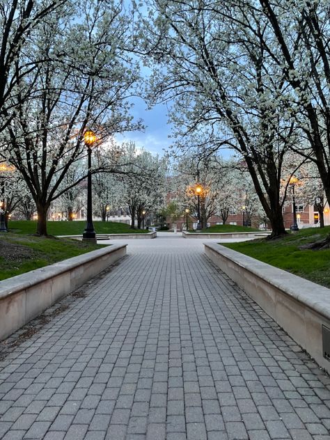 Blooming trees surrounding circle at Purdue University #spring #aesthetic #nature Spring Semester Aesthetic, Purdue University Aesthetic, Romanticize College, Spring Aesthetic Nature, Campus Aesthetic, Masters Degree Graduation, College Vision Board, Building Aesthetic, College List