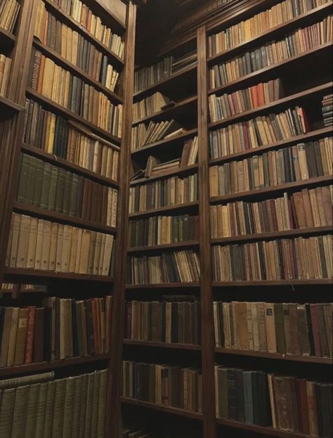 Library Books Aesthetic, Books Old Aesthetic, Old Libraries Aesthetic, Book Library Aesthetic, Old Book Aesthetic, Books Library Aesthetic, Old Books Aesthetic, Old Library Aesthetic, Bookshelves With Books