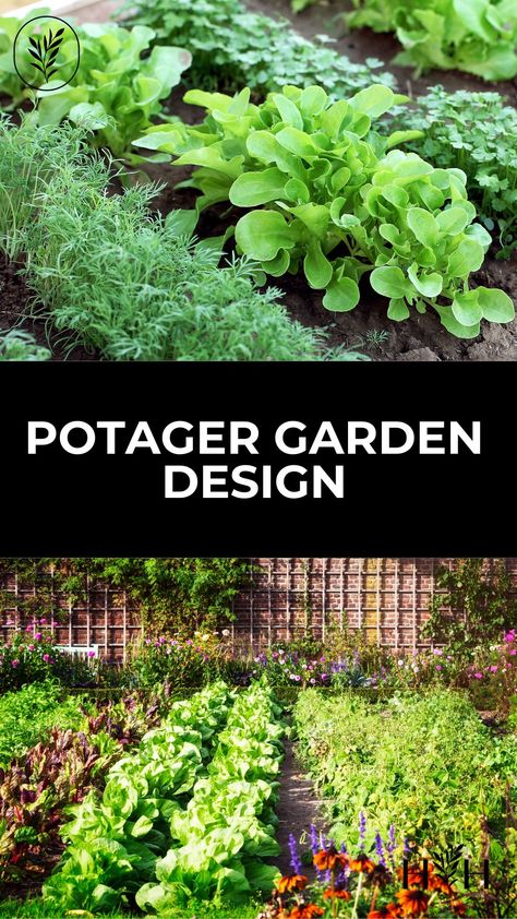 French Kitchen Garden Layout, German Garden Design, French Potager Garden Design, Small Potager Garden Layout, Large Herb Garden Layout, Creative Vegetable Garden Ideas, Potager Garden Design Small Spaces, Potager Garden Design Layout, Herb Garden Outdoor Design