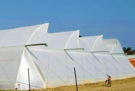 Polyhouse Farming Design, Galvanized Gutters, Curtain Box, Crop Production, Insect Netting, Double Sliding Doors, Urban Farming, Structure Design, Surface Area