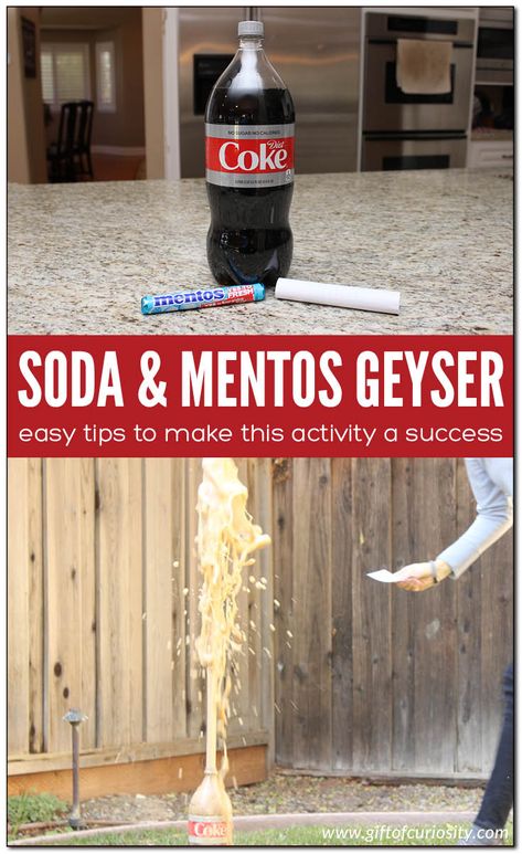 Soda and Mentos Geyser Activity - Gift of Curiosity Soda Explosion Experiment, Mentos Coke Experiment, Soda And Mentos Science Fair Project, Mentos Science Fair Project, Diet Coke And Mentos Experiment, Mentos And Soda Experiment Science Fair, Coke Mentos Experiment, Kid Stem Activities, Mad Scientist Activities For Kids