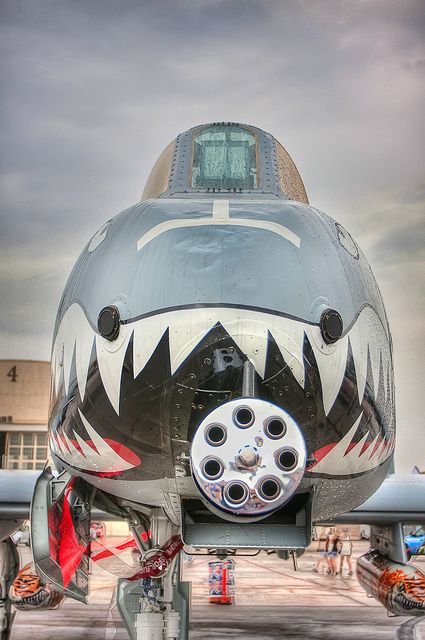 A-10 Thunderbolt II- this would be the plane I would fly if I were a pilot. Badass!! Photo Avion, A 10 Warthog, Military Memes, Military Airplane, Military Humor, Military Jets, Jet Aircraft, Jet Plane, Nose Art