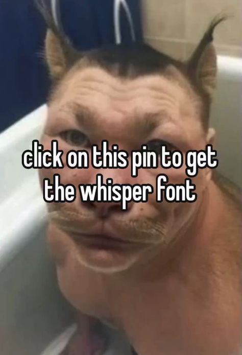 Click On This To Get The Whisper Font, Click On This Pin To Get The Whisper Font, Click This Pin For The Whisper Font, How To Get Whisper Font, How To Get The Whisper Font, Click On This Pin, Whisper Images, The Whisper Font, Whisper Font