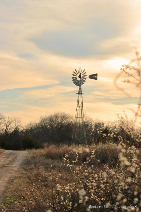 City Country Aesthetic, Texas Landscape Photography, Rural Texas Aesthetic, East Texas Aesthetic, Texas Astethic, Western Americana Aesthetic, Texan Aesthetic, Texas Aesthetic Wallpaper, Old Country Aesthetic