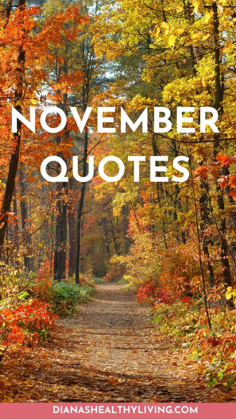 november quote november quotes quote about november quotes about november quotes for november quotes on november happy november quotes november month quotes november quote of the month quotes for the month of november november inspirational quotes november quotes for inspiration november sayings quotes about november month quotes on november month november quotes and sayings november motivational quotes quoe inspirational quotes for november november love quotes november 1st quotes november phra November Month Quotes, November 1st Quotes, Happy November Quotes, Quotes About November, November Sayings, Quotes For November, Happy New Month November, Quote Of The Month, November Love