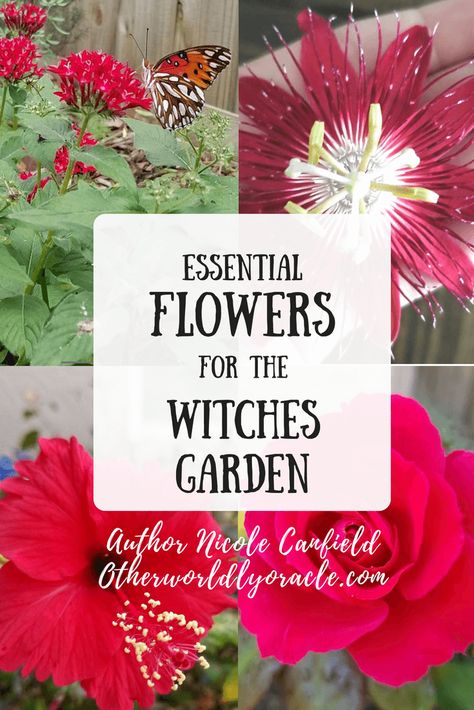 Magickal Plants: Essential Flowers for the Witches Garden Witches Flower Garden, Magickal Plants, Witchy Flowers, Witches Garden, Witch's Garden, Witchy Garden, Garden Witch, Sacred Garden, Flower Magic