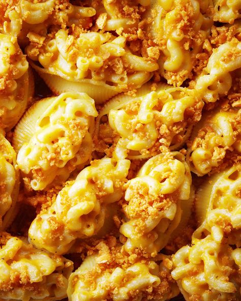 Macaroni and Cheese Stuffed Shells Recipe — Bite Me More Mac And Cheese Recipe Shells, Mac And Cheese Shells Recipe, Mac And Cheese Shells, Macaroni Shells, Cheese Shells, Apple Recipes Easy Healthy, Ultimate Mac And Cheese, Shells Stuffed, Cheesy Mac And Cheese