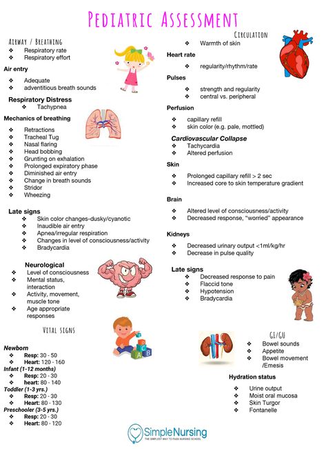 Pediatric Respiratory Disorders Nursing, Ob/peds Nursing School, Pediatric Assessment Cheat Sheet, Respiratory Assessment Nursing, Pediatric Advanced Life Support Study, Peds Er Nurse, Nursing School Pediatrics, Pediatric Study Notes, Nursing School Pediatric Notes