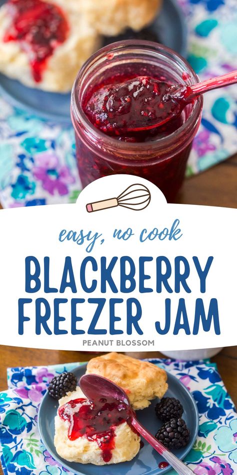 Seedless Blackberry Freezer Jam Recipe, Mcp Pectin Freezer Jam Recipe, Easy Freezer Jam Recipes, Blackberry Freezer Jam Easy, Blackberry Puree Recipes, Blackberries Recipes Easy, Black Raspberry Freezer Jam Recipe, Blackberry Jam Recipe With Pectin, Blackberry Preserves Recipe