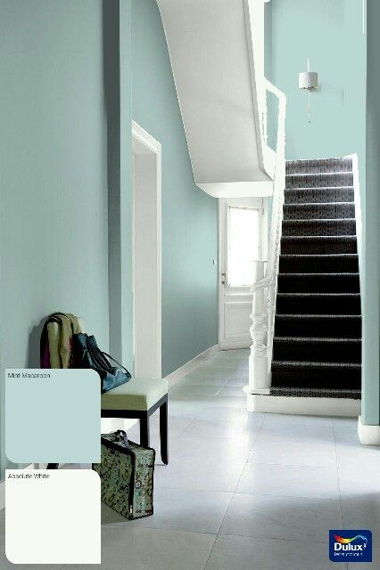 Mint macaroon and white Purple Wall Color, Dulux Blue, Blue Hallway, Hallway Design, Hallway Designs, Painted Stairs, Green Walls, Dark Walls, Purple Walls