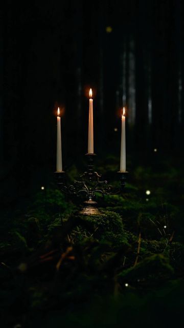 Dark Woodland Aesthetic, Mystical Forest Aesthetic, Dark Faerie Aesthetic, Dark Enchanted Forest, Vintage Witch Photos, Dark Fairytale Aesthetic, Woodland Aesthetic, Forestcore Aesthetic, Faerie Aesthetic