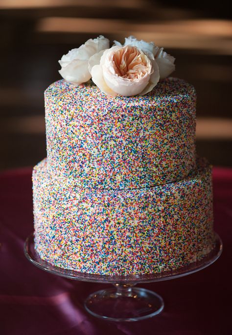 Queer Wedding Cake, Sprinkle Covered Cake, Funfetti Wedding Cake, Sprinkle Wedding Cakes, Anguilla Wedding, Engaged Photos, Rainbow Wedding Cake, Rainbow Sprinkle, Spring Wedding Cake