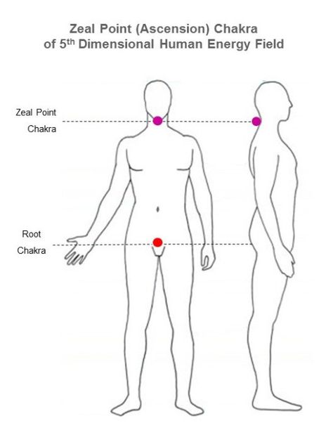 From the feedback I have gathered, it seems that increasingly, more Lightworkers are experiencing sleep-related problems, including unusual stiffness on neck and shoulders after sleep, difficulty falling asleep, waking up at wee hours of the night and unrestful sleep with lucid dreams. If these symptoms sound familiar to you but you can’t consciously relate them to any lifestyle or psychological factor, then a probable trigger of these sleep issues would be the activation of the Zeal Point C... Zeal Point Chakra, Zeal Chakra, Healing Aura, Internal Energy, Spiritual Ascension, 5th Dimension, Channeling Energy, Lucid Dreams, Sleep Issues