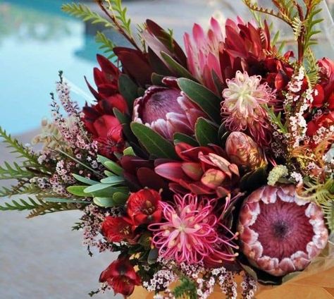 Fynbos Arrangement, Australian Native Flower Wedding, Bouquet Champetre, Large Flower Arrangements, Protea Flower, Succulent Bouquet, Australian Native Flowers, Eclectic Wedding, Australian Native Plants