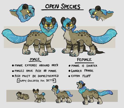 Shoaleo species guide by nekuroSilver on DeviantArt Closed Species Furry, Fursuit Species, Custom Creatures, Oc Species, Species Ideas, Species Design, Open Species, Original Species, Species Guide