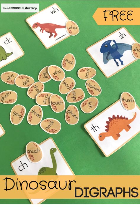 Grab our FREE Printable Dinosaur Digraph Activity! This literacy center is great for kindergarten students! Dinosaur Phonics Preschool, Dinosaur Kindergarten Activities Free Printables, Dinosaur Activities First Grade, Dino Literacy Activities, Ks1 Dinosaur Topic, Dinosaur Literacy Activities Kindergarten, Kindergarten Dinosaur Unit, Kindergarten Dinosaur Activities, Dinosaur Phonics