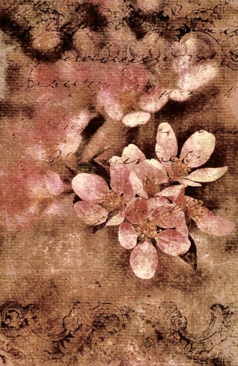 Pink Academia Aesthetic, Downtown Autumn, Brown Cottage, Farmhouse Colors, Pink Bg, Cheetah Print Wallpaper, Farm House Colors, Rosé Brown, Brown Flowers