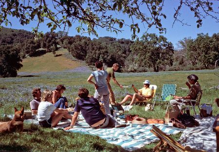 Project: Have a Pinteresting Picnic - GOOD Projects - GOOD People Doing People Things, Photography Friends Group, 80s Picnic, Classy Picnic, 70s Picnic, Summer Photography Ideas, Picnic Field, Picnic With Family, People Doing Things