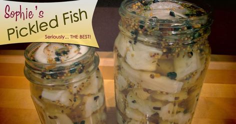 Sophie's Pickled Fish - Seriously... THE BEST! This recipe is extremely easy and delicious. Just follow the detailed, step-by-step instru... Northern Pike Recipe, Pickled Herring Recipe, Pike Recipes, Pickled Fish Recipe, Pickled Meat, Dehydrated Recipes, Pickled Fish, Herring Recipes, Trout Recipe