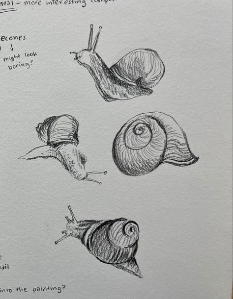 Insect Drawing Aesthetic, Aesthetic Bug Drawing, Insect Pencil Drawing, Snail Sketch Simple, Cool Bug Drawings, Bug Sketches Drawing, Cute Bugs Drawing, Easy Snail Drawings, Snails Artwork