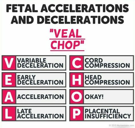 Fetal Accelerations and Decelerations VEAL CHOP Veal Chop Mine Nursing, Veal Chop Nursing, Veal Chop, Human Embryo, Fetal Position, Diy Pipe, Nursing School Tips, Entertainment Design, Diy Entertainment Center