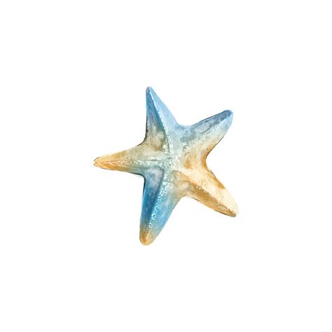 Starfish Clipart, Watercolor Starfish, Mermaid Phone, Pinterest Widget, Beach Wall Collage, Beach Icon, Screen Icon, Summer Icon, Insta Icon