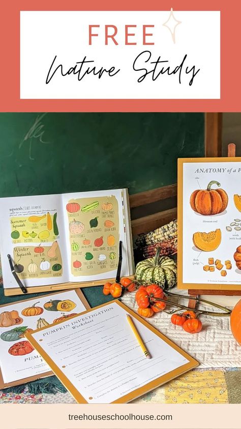 Homeschool Pumpkin Activities, Fun Fall Homeschool Ideas, Pumpkin Nature Study, Homeschool Thanksgiving Unit Study, Homeschool Nature Study Free Printables, October Homeschool Ideas, November Homeschool Ideas, Thanksgiving Homeschool Ideas, Nature Study Preschool