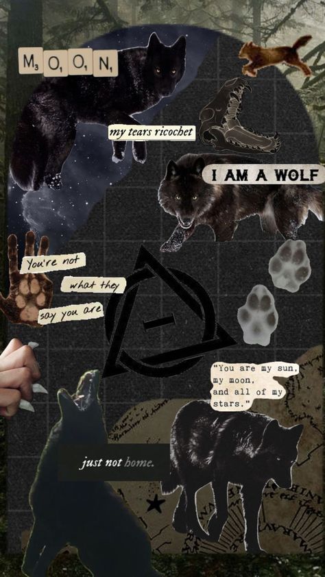 Black wolves 🖤🖤#therian #blackwolf #wolf Therian Aesthetic Wallpaper, Black Wolf Therian, Wolf Core, Therian Aesthetic, Therian Core, Therian Wallpaper, Therian Ideas, Therian Art, Wolf Therian