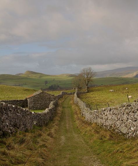 Yorkshire Dales Yorkshire Dales National Park, England Countryside, Kentish Town, Skai Jackson, I Want To Live, British Countryside, Yorkshire Dales, Dirt Road, Foto Art